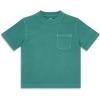 Sunwashed Teal