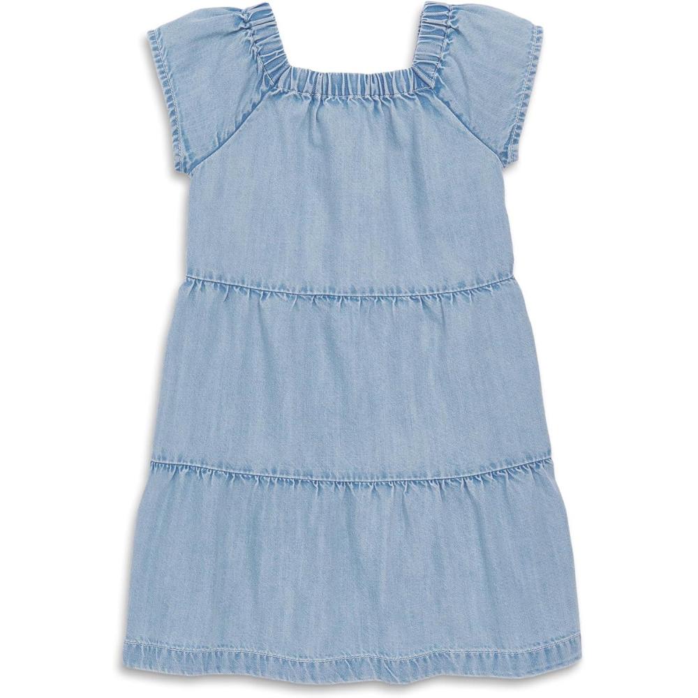 imagePrimary Kids Chambray Picnic Dress