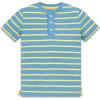 Cornflower Banana Stripe