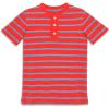 Poppy Blueberry Stripe