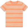 Goldfish White Stripe