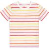 Warm Multi Stripe