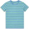 Cornflower Pear Stripe