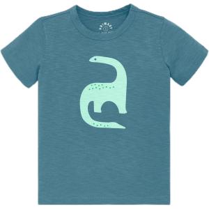 Primary Kids Dino Graphic Tee, Soft 100% Cotton T-Shirt(Slate Blue Dinosaur)