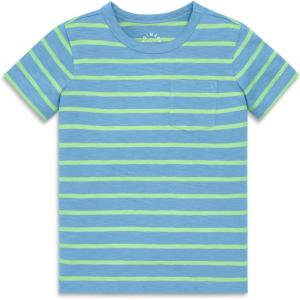 Primary Kids Stripe Pocket Tee, Soft 100% Cotton T-Shirt(Cornflower Pear Stripe)